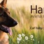 Harris Animal Hospital