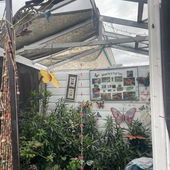 Heavenly Vintage Nursery - Nurseries & Gardening Near Me - Long Beach, California Heavenly Vintage Nursery - Nurseries & Gardening Near Me - Long Beach, California