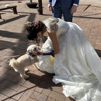 Alis Fashion Design - Bridal Near Me - Phoenix, Arizona