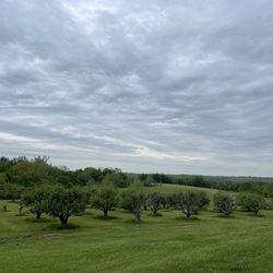 Von Jakob Winery & Brewery - View of orchard