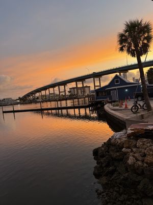 Dixie Fish Company by null