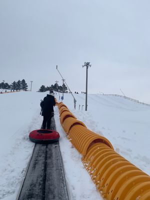 Chinguacousy Park by null