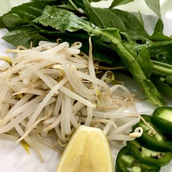 Pho Que Huong - I asked for my bean sprouts steamed or blanched instead of raw. Easier to eat with bites of meat. Keeps my broth hot longer. - Vietnamese Near Me - Honolulu, Hawaii Pho Que Huong - I asked for my bean sprouts steamed or blanched instead of raw. Easier to eat with bites of meat. Keeps my broth hot longer. - Vietnamese Near Me - Honolulu, Hawaii