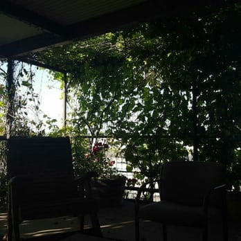 Red Caboose Winery - The lighting is awful in this photo, but the patio is adorable, with lovely wooden rocking chairs and a thick blanket of grape vines - Wineries Near Me - Clifton, Texas Red Caboose Winery - The lighting is awful in this photo, but the patio is adorable, with lovely wooden rocking chairs and a thick blanket of grape vines - Wineries Near Me - Clifton, Texas
