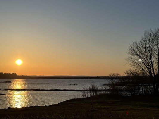 Dolphin Marina & Restaurant by null