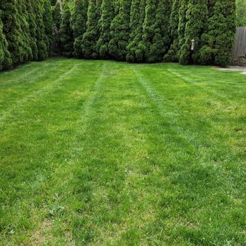 Boteo’s Landscaping - a green lawn in a backyard - Gardeners Near Me Boteo’s Landscaping - a green lawn in a backyard - Gardeners Near Me
