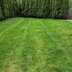 Boteo’s Landscaping