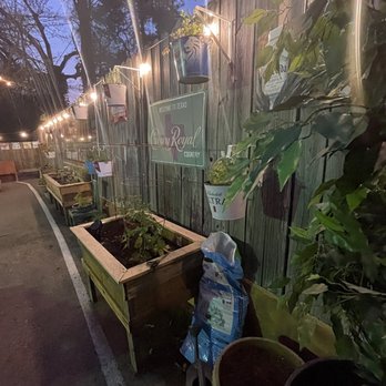 The Rusty Nail Bar - Fresh herbs - Bars Near Me - Humble, Texas