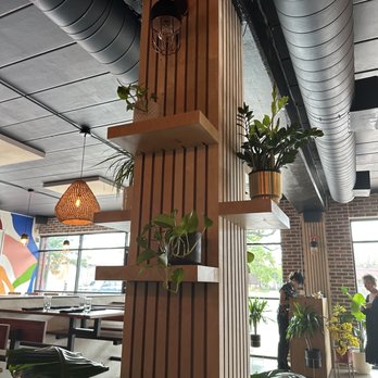 Moon Rabbit - Cute plantings but ate my food before a pic. Oops! - Vietnamese Near Me - Houston, Texas Moon Rabbit - Cute plantings but ate my food before a pic. Oops! - Vietnamese Near Me - Houston, Texas