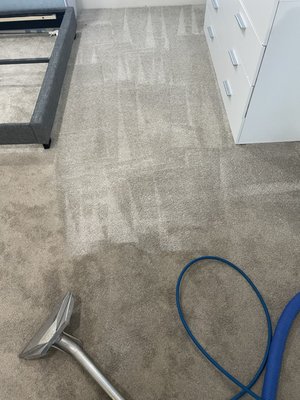 Thumbs Up Steam Cleaning on Yelp