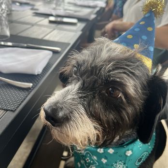 Ed's Bistro - Dog friendly - Wine Bars Near Me - La Porte, Texas