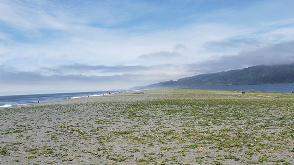 Big Lagoon County Park by null