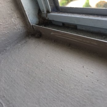 RE House Cleaning - Home Cleaning Near Me