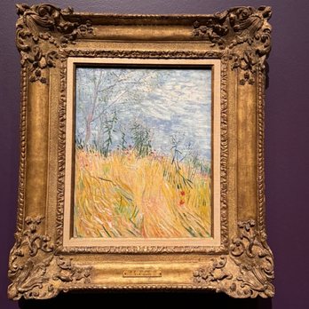 Denver Art Museum - Art Galleries Near Me - Denver, Colorado