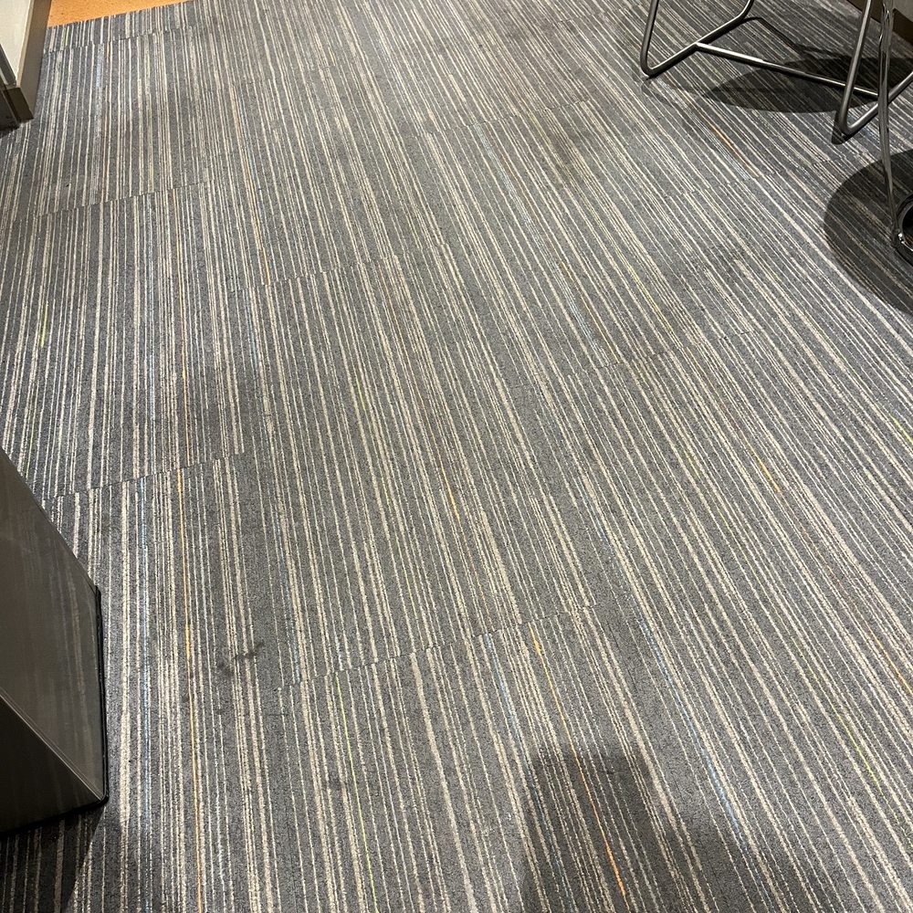 EVEN Hotel Norwalk - Oh wait HERES MORE! The carpets everywhere you walk are stained - Hotels Near Me - Norwalk, Connecticut
