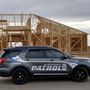 Photo of On-Site Patrol Services