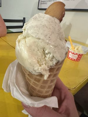 PussyCat Gelato by null