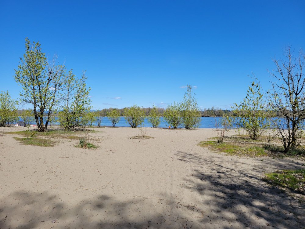 SAUVIE ISLAND NUDE BEACH - Updated September 2024 - 79 Photos & 39