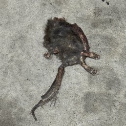 Not sure what this used to be but it greeted me just as I stepped out my car door.