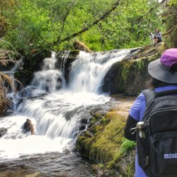 Alsea Falls Recreation Site - Alsea Falls