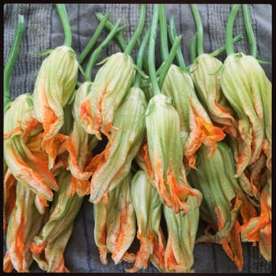 Bixby Park Local Harvest Farmers Market by null
