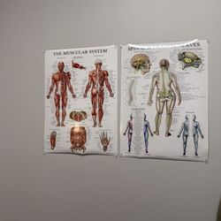 SportsMed Physical Therapy - Lyndhurst NJ