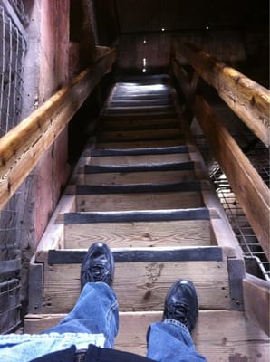 Church of Our Saviour by null