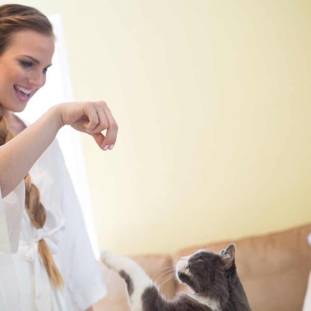 Classic Photographers - I love my pet cat, Tommy.  I can't believe she was able to capture this action/motion shot of me playing with him. - Videographers Near Me - Londonderry, New Hampshire