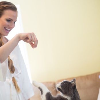 Classic Photographers - I love my pet cat, Tommy. I can't believe she was able to capture this action/motion shot of me playing with him. - Videographers Near Me - Londonderry, New Hampshire Classic Photographers - I love my pet cat, Tommy. I can't believe she was able to capture this action/motion shot of me playing with him. - Videographers Near Me - Londonderry, New Hampshire