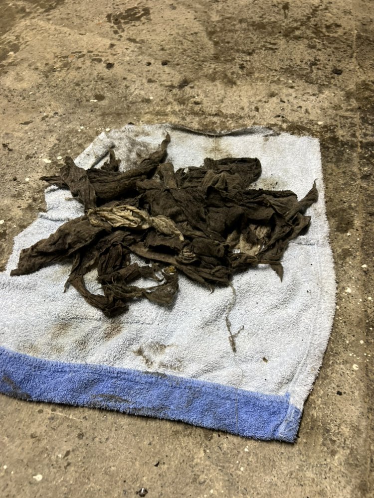 Slide of Tommy Malozi Jr Sewer Drain and Plumbing