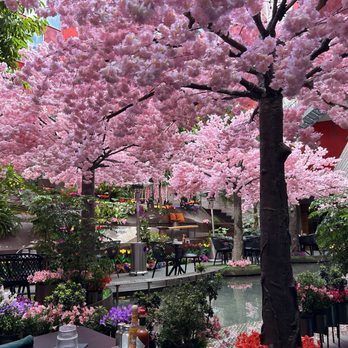 insideOUT - Spring Oasis theme outside. - Lounges Near Me - San Diego, California