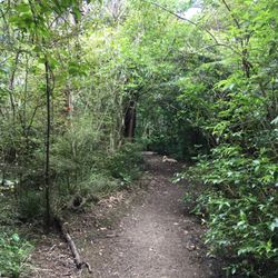 Kepa Bush Reserve