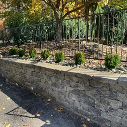 Steve & Brother Landscaping Renovators - Planting of dwarf boxwoods !