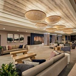 Hotel Fera Anaheim, a DoubleTree by Hilton - Reception