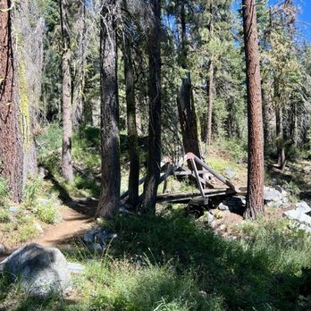 Sugar Pine Point State Park - Narrow gauge bridge on trail to ponds. - Parks Near Me - Meeks Bay, California