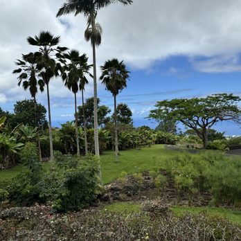 Doutor Coffee Mauka Meadows - Coffee & Tea Near Me - Holualoa, Hawaii