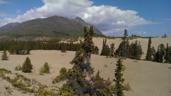 Carcross Desert by null