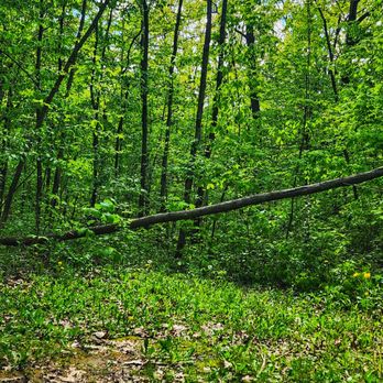 Kettle Moraine Forest - Pike Lake Unit - Woods - Campgrounds Near Me - Hartford, Wisconsin Kettle Moraine Forest - Pike Lake Unit - Woods - Campgrounds Near Me - Hartford, Wisconsin