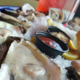 Oysters