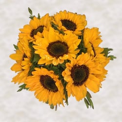 Norah MitchellFlowers