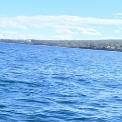 Surf Cycling Hawaii