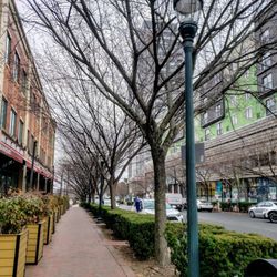 City of Rockville - On Executive Blvd. in Rockville