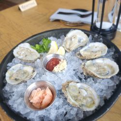 Oysters