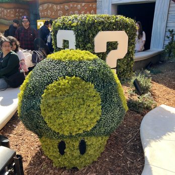 Toadstool Cafe - Outside - Cafes Near Me - Universal City, California