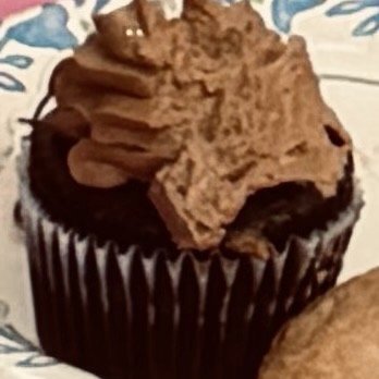 Villa Italia - Chocolate cupcake - DELICIOUS! - Bakeries Near Me - Schenectady, New York