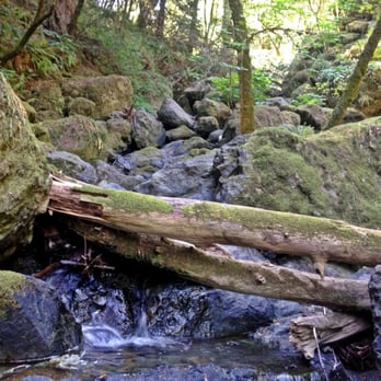 Cataract Falls Trail - Hiking Near Me Cataract Falls Trail - Hiking Near Me