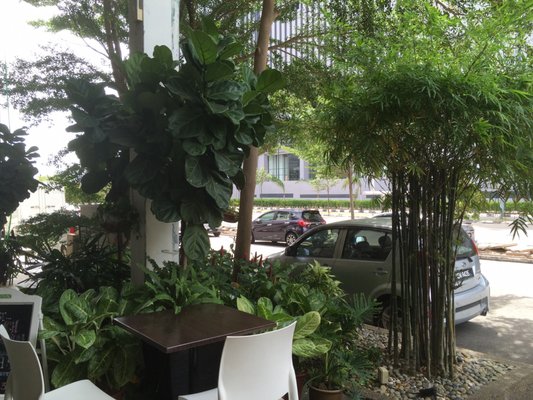 Botanist Veggie Cafe by null
