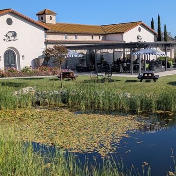 Truffle Pig Winery & Vineyards - Wineries Near Me - Temecula, California