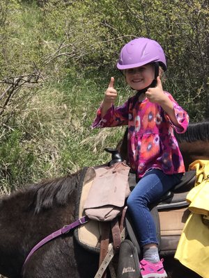 Vail Stables by null