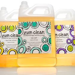 Evolve Apothecary and Spa - Get Zum clean @ Evolve